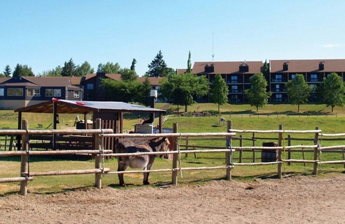 Wasagaming Apartment | Beautiful 3 bedroom unit at resort, sleeps 6