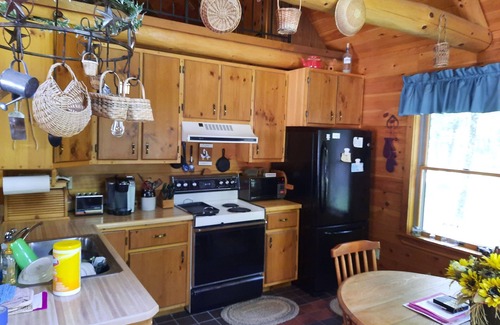 Brantingham House | Beautiful 3 bedroom adirondack log cabin