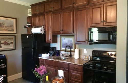Eddyville Apartment | Beautiful 3 BR/2 BA Waterfront Apartment w/Stunning Lake View & Private Dock