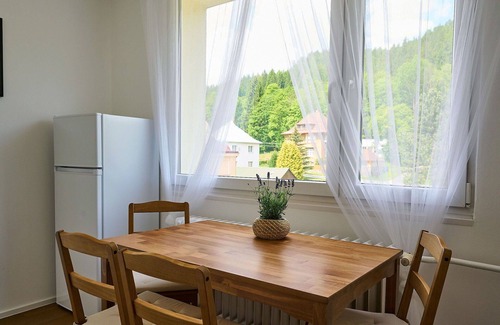 Josefov Dul Apartment | Beautiful apartment for 6 people with WIFI, TV, balcony and parking