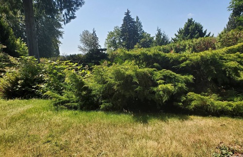 Port Moody House | Beautiful and peaceful suite , very close to beach.