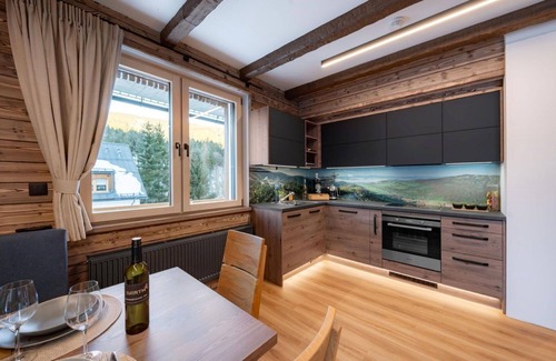 Dolni Morava Apartment | Beautiful apartment for 6 guests with WIFI, TV, terrace and parking
