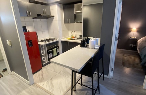 Bellas Artes Apartment | Beautiful apartment near Lastarrias