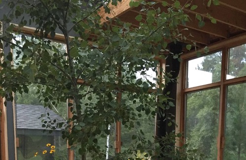 Park Rapids House | Beautiful art-filled modern house, very private and very peaceful.
