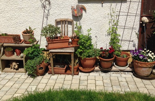 Bergheim Apartment | Beautiful attic apartment, close to nature & close to the city (western forests)