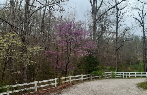 Linn Creek House | Beautiful barn apartment on 3 wooded acres with 300ft of waterfront.
