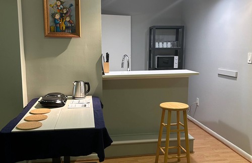 McLean House | Beautiful Basement Apartment in a contemporary McLean Home