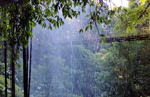 Bellingen Bed & Breakfast | Beautiful Bellingen In Home Sanctuary Stay