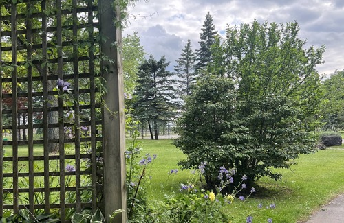Brampton House | Beautiful Bungalow w/Breathtaking Garden & Open Basement for Family Gatherings!