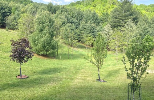 Piney Creek Cabin | Beautiful Cabin at the New River w/ Blue Ridge Mountain Views!