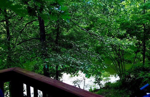 Double Springs Cabin | Beautiful cabin in the forest on the lake