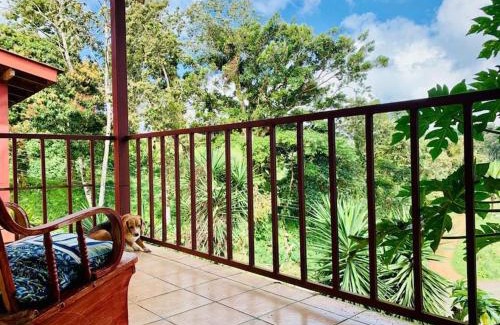 Arenal House | Beautiful Casa Aire near Lake Arenal in Nuevo Arenal - Casas Airelibre