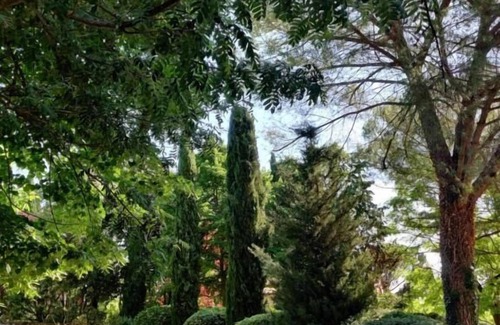 Colle di Val d'Elsa Apartment | Beautiful cottage in the Tuscan countryside - 15 minutes from San Gimignano