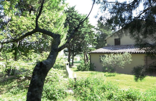 Mombaroccio House | Beautiful country house with garden for your total relax!