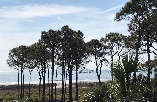 Hilton Head Island Apartment | Beautiful Couples Retreat Oceanview, Bikes Chairs Incl
