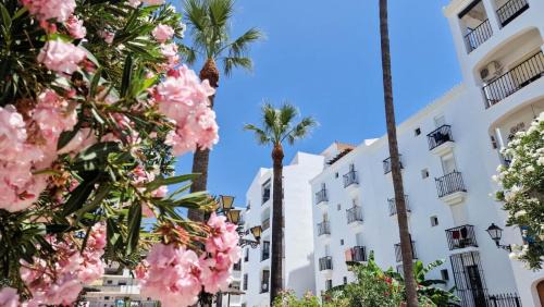San Luis de Sabinillas Apartment | Beautiful Beachfront Newly Renovated 2 Bedroom Apartment with Swimming Pool and Garden