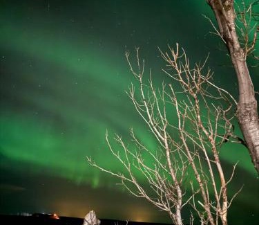 Rangarþing ytra Villa | Beautiful family home in South-Iceland perfect for groups and families