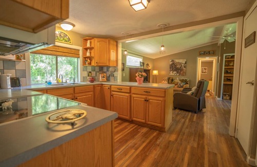 Brooksville House | Beautiful Home backs up to Hiking Preserve of Trails!
