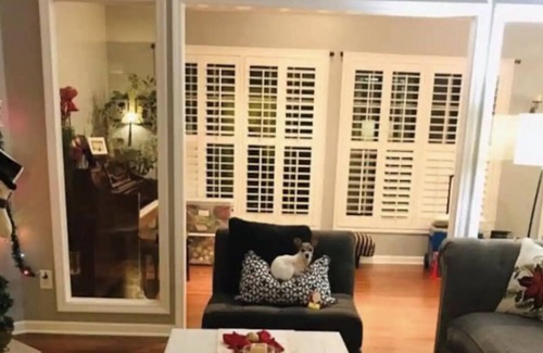 Buford House | Beautiful home in Buford, GA 3 Bedrooms
