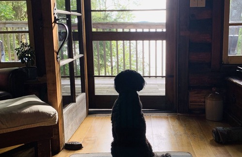 Bracebridge House | Beautiful Lake Muskoka Log Cabin