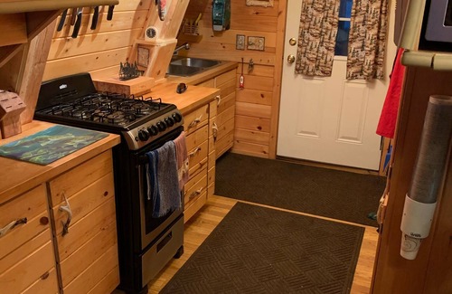 Cook Cabin | ❤️ Beautiful Lake Vermilion Private Island Rental ❤️