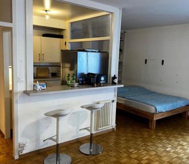 Malombre Apartment | Beautiful Large Studio in center of Geneva Free Wifi