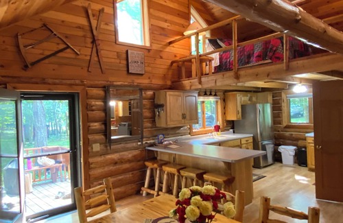 Hackensack Cabin | Beautiful Log Cabin on Trillium Lake with Sauna & Pontoon included! GREAT RATES!