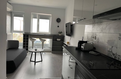 Militari Condo | Beautiful Penthouse Lakeview W18