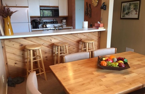 Harbor Springs Condo | Beautiful Petoskey Condo in Trout Creek - Minutes from Nubs & Boyne Highlands!