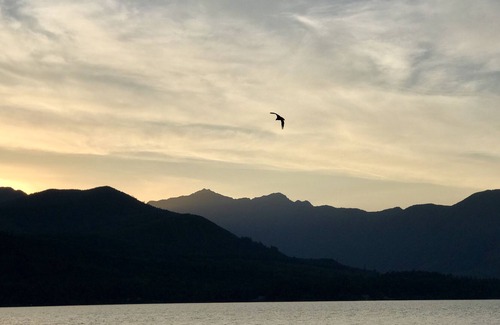 Seabeck House | Beautiful private bungalo in Seabeck Hood Canal.