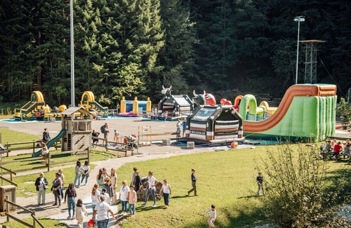 Moleson House | Beautiful private villa for 8 guests with WIFI, TV, balcony, panoramic view and parking