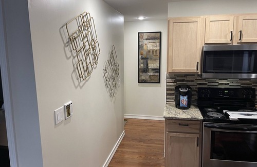 Detroit Apartment | Beautiful Quiet Boston-Edison Historical District