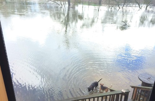 Lockeford House | Beautiful riverfront, family friendly home minutes from Lodi - no pets/smoking