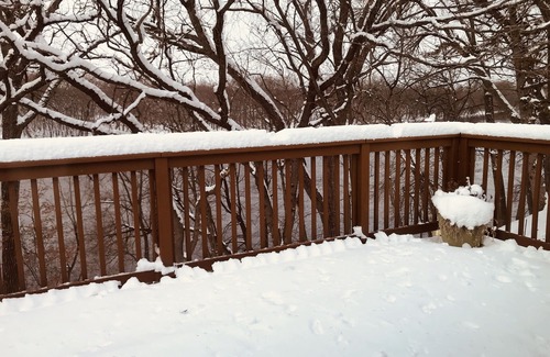 Fridley House | Beautiful Riverview 2 bdr home