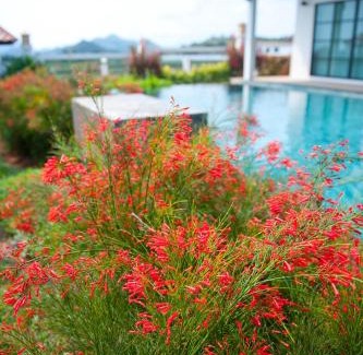 Wang Pong Villa | Beautiful secluded standalone villa with private pool