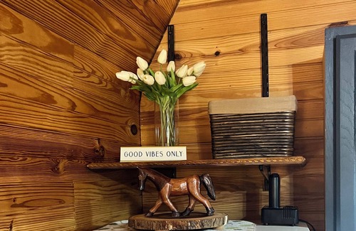 Williston Cabin | Beautiful stand alone cabin, one bedroom and a loft! Sleeps 4, very private.