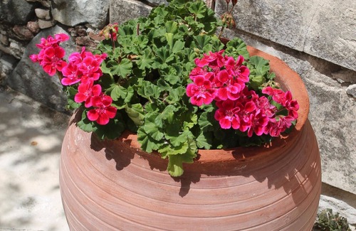 Lythrodontas House | Beautiful Traditional House In Authentic Village local walks and great base