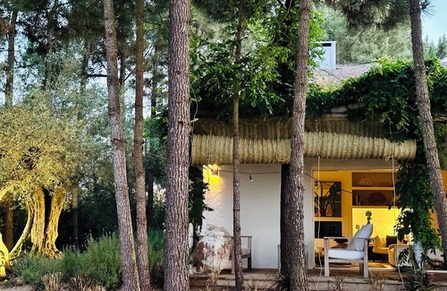 Troia Ski Chalet | Beautiful Villa on the rice fields walking distance to the beach