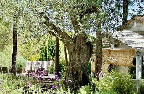 Troia Ski Chalet | Beautiful Villa on the rice fields walking distance to the beach