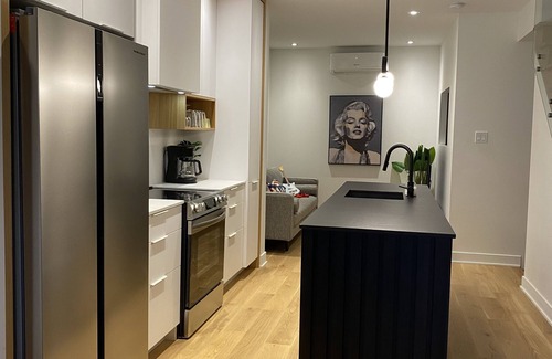 De Lorimier Condo | Beautifull, modern 3 bedrooms/3bathrooms condo in the Plateau Mont-Royal
