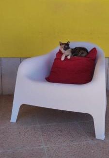 Vasto House | Bed and Bike