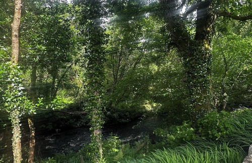 Moyard Bed & Breakfast | bed and breakfast 10 minutes from clifden town, peaceful and private