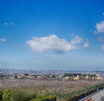 Pollena Trocchia Bed & Breakfast | Bed and Breakfast Sommavesuvio