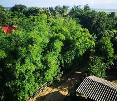 Doi Tao Bed & Breakfast | Bed and breakfast ∙ 1 bedroom ∙ 2 guests