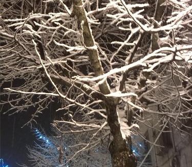 Viggiano Bed & Breakfast | Bed & Breakfast La dodicesima Notte