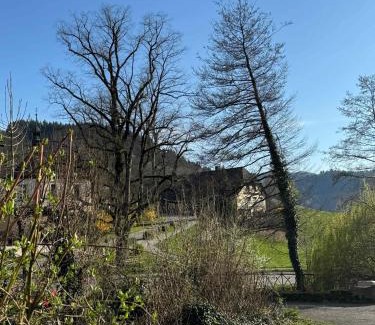 Munstertal House | Bed & Breakfast Müllers Klostermühle