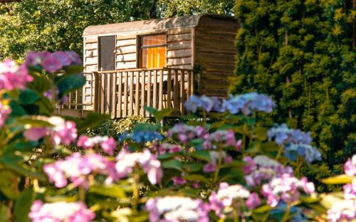 Bruchterveld Bed & Breakfast | Bed & Brood Morgenrood