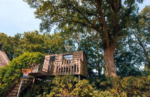 Bruchterveld Bed & Breakfast | Bed & Brood Morgenrood
