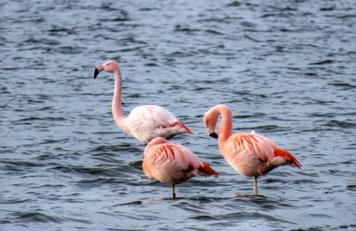 Sommelsdijk Bed & Breakfast | Bed en Breakfast en Bike