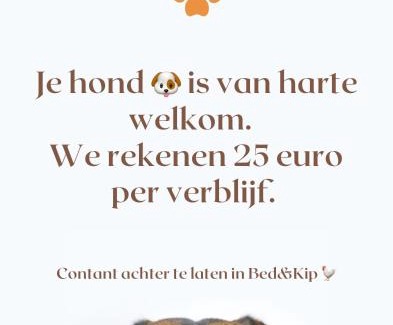 Nisse Bed & Breakfast | Bed & Kip De plek voor mens en hond